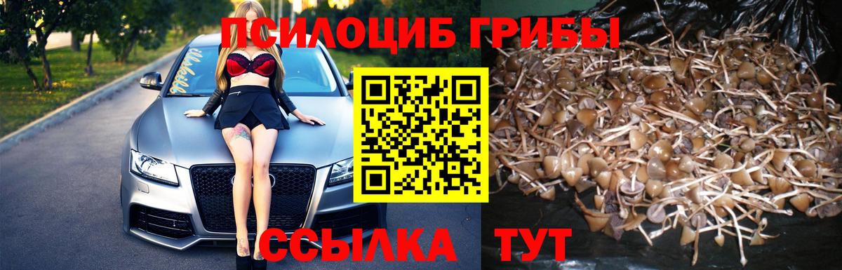 Галлюциногенные грибы GOLDEN TEACHER Лосино-Петровский