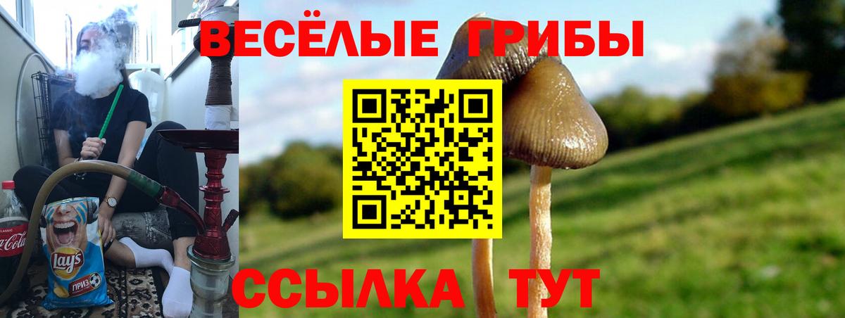 Галлюциногенные грибы GOLDEN TEACHER  Вход с VPN  Лосино-Петровский  Галлюциногенные грибы мухоморы 