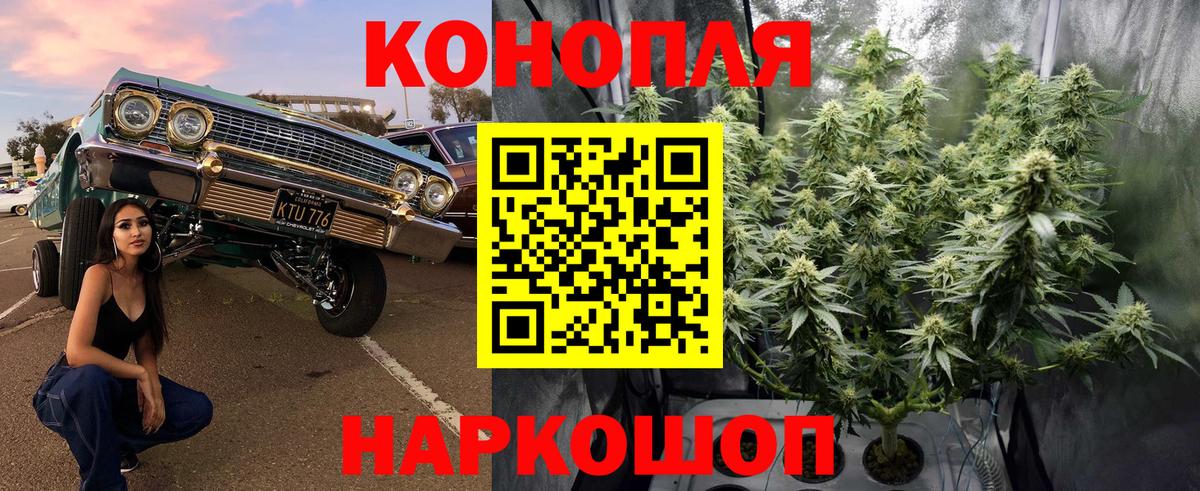 Бошки марихуана тримм Лосино-Петровский